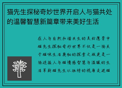猫先生探秘奇妙世界开启人与猫共处的温馨智慧新篇章带来美好生活